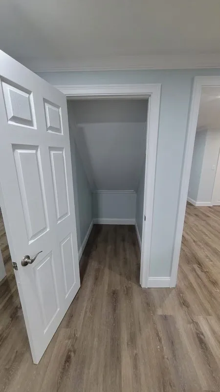 Renovated closet space with luxury vinyl flooring and painted walls